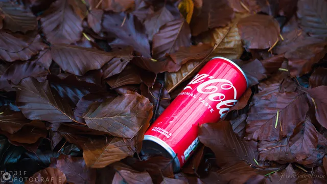 Coca-Cola can left as waste on leaves in the forrest