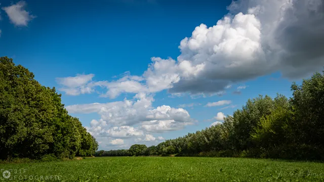 Another field with trees and clouds